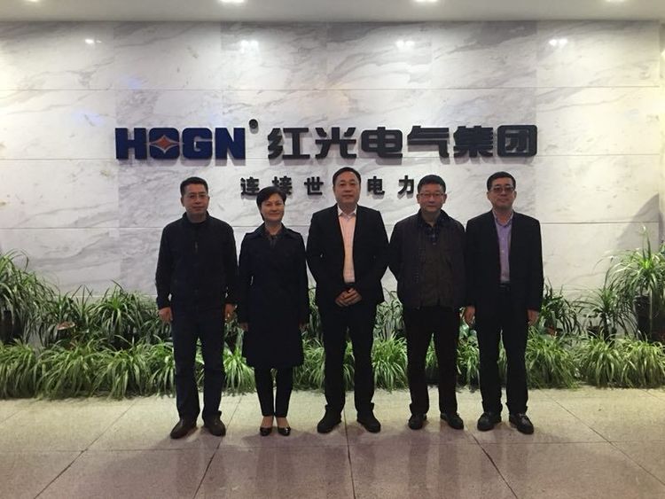 温州市质量手艺监视局局长朱云华一行莅临和记官网考察